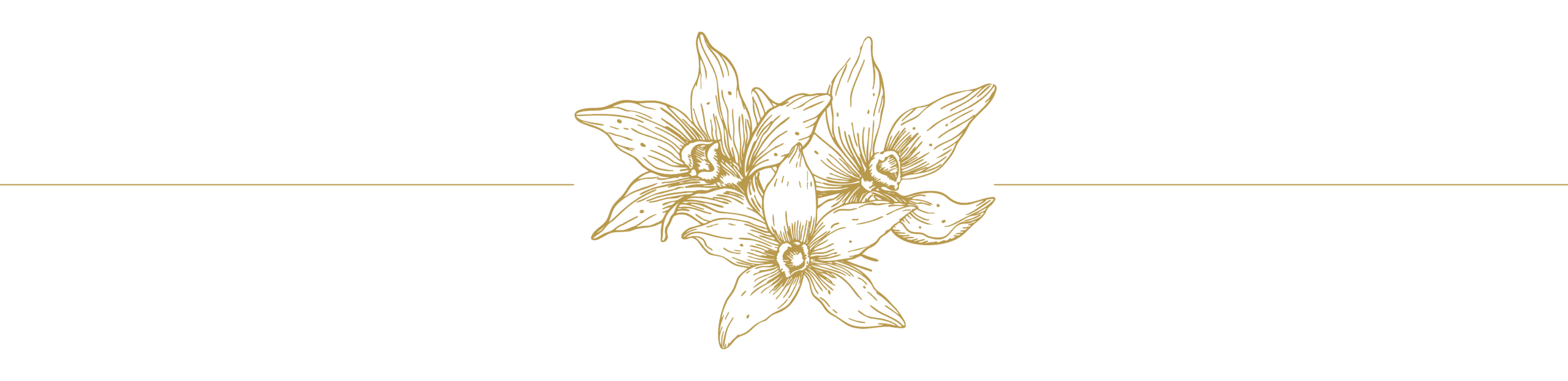 Spa – Flower1_Divider Spa - Flower1_Divider